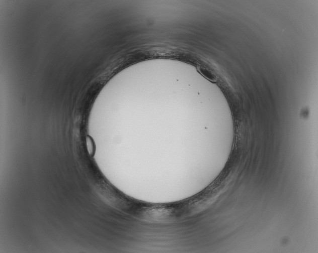 X0000116670217201001111317