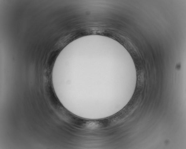 X0000116670218201001111317