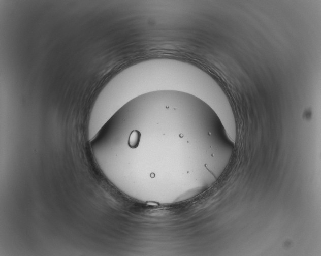 X0000116670219201001111317