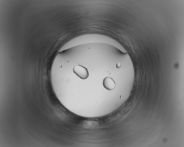 X0000116670220201001111317