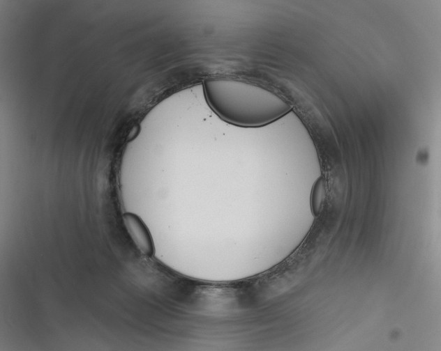 X0000116670221201001111317