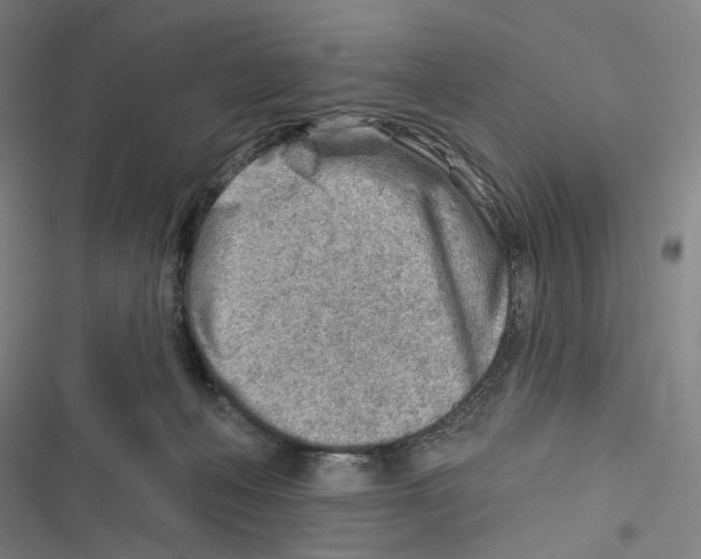 X0000116670222201001111317