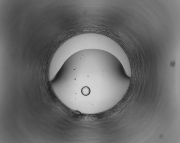 X0000116670223201001111317
