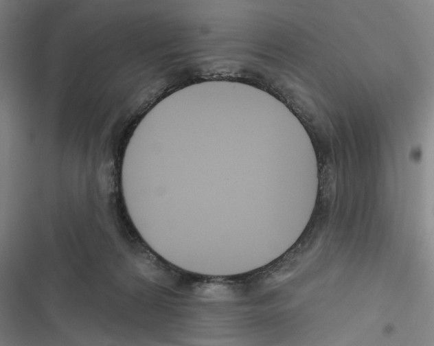 X0000116670224201001111317