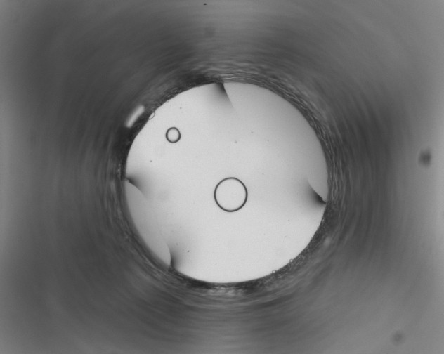 X0000116670225201001111317