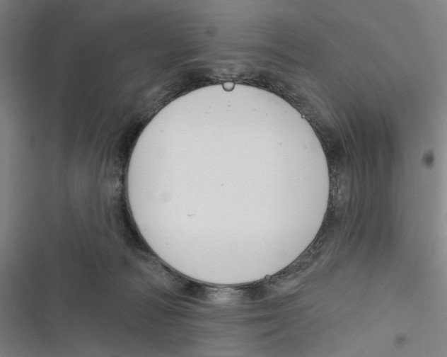 X0000116670226201001111317