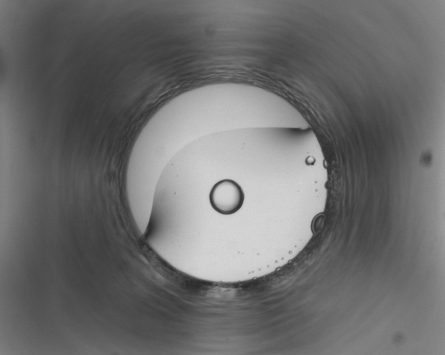 X0000116670227201001111317