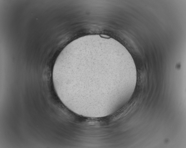 X0000116670228201001111317