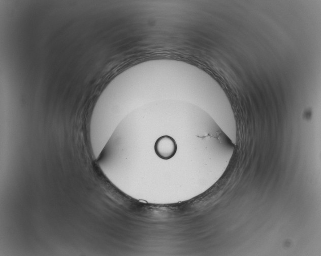 X0000116670229201001111317