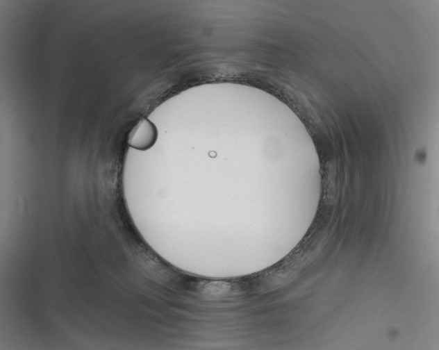 X0000116670230201001111317