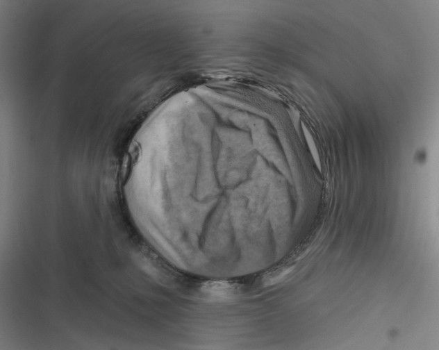 X0000116670231201001111317