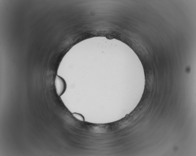 X0000116670232201001111317