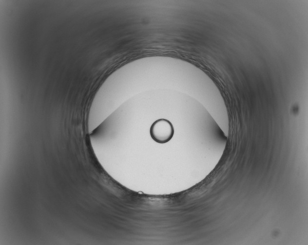 X0000116670233201001111317