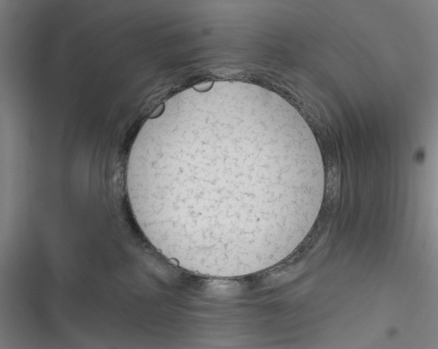 X0000116670234201001111317