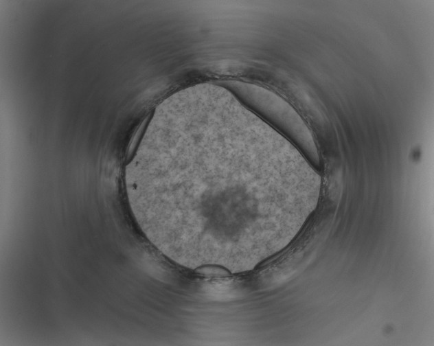 X0000116670235201001111317