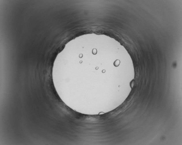 X0000116670236201001111317