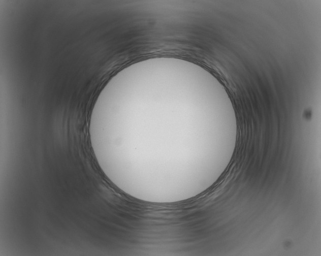 X0000116670237201001111317