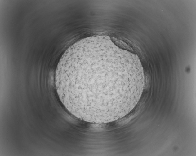 X0000116670238201001111317