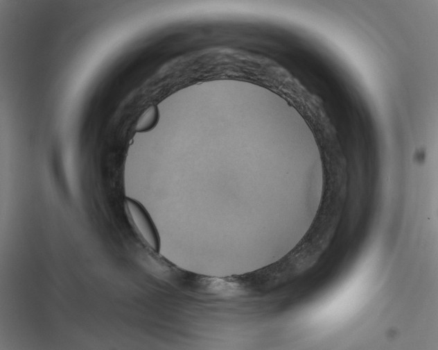 X0000116670239201001111317