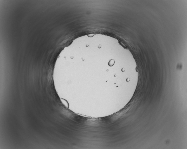 X0000116670240201001111317