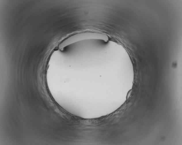 X0000116670241201001111317