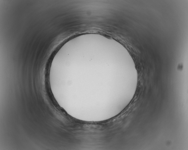 X0000116670242201001111317