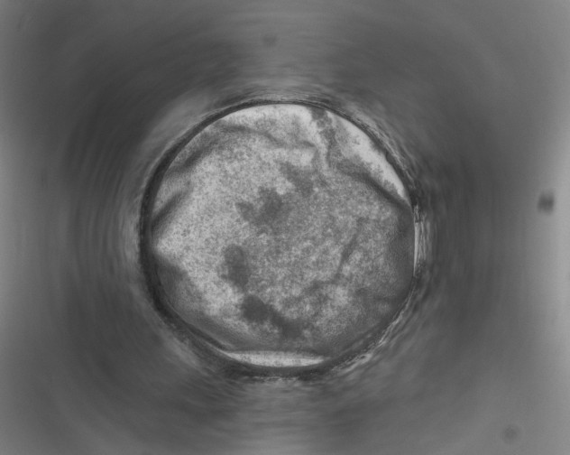 X0000116670243201001111317