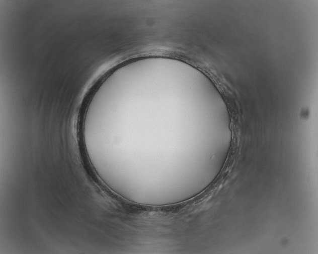 X0000116670244201001111317