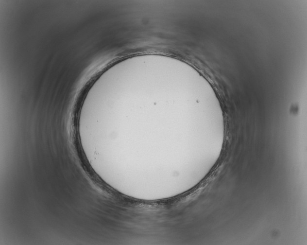 X0000116670245201001111317