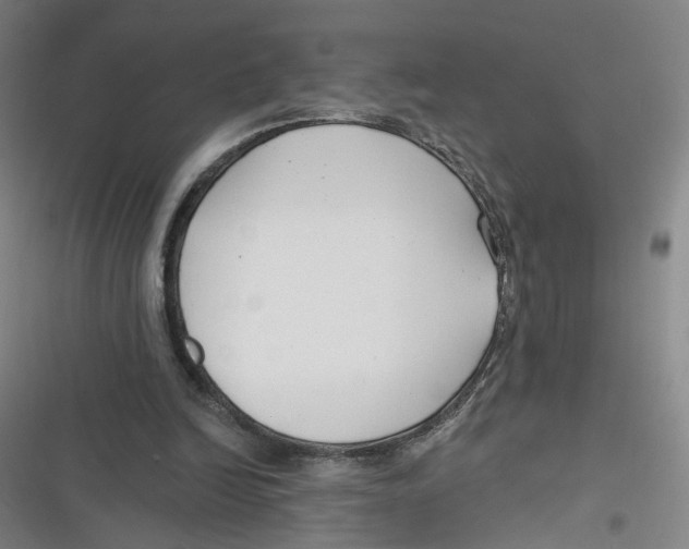 X0000116670246201001111317