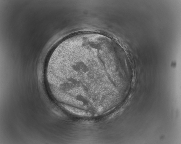 X0000116670247201001111317
