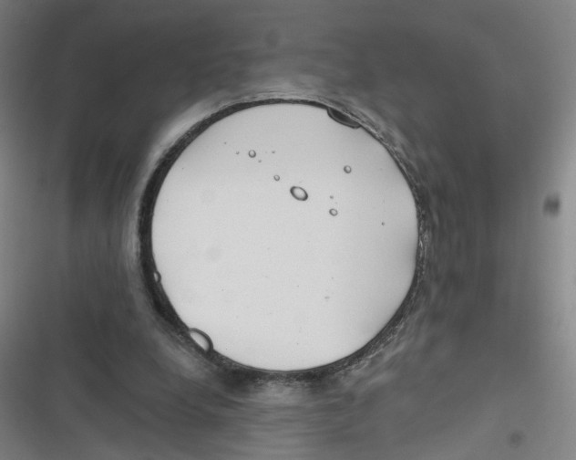 X0000116670248201001111317