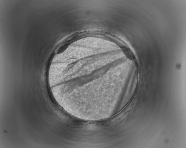X0000116670249201001111317
