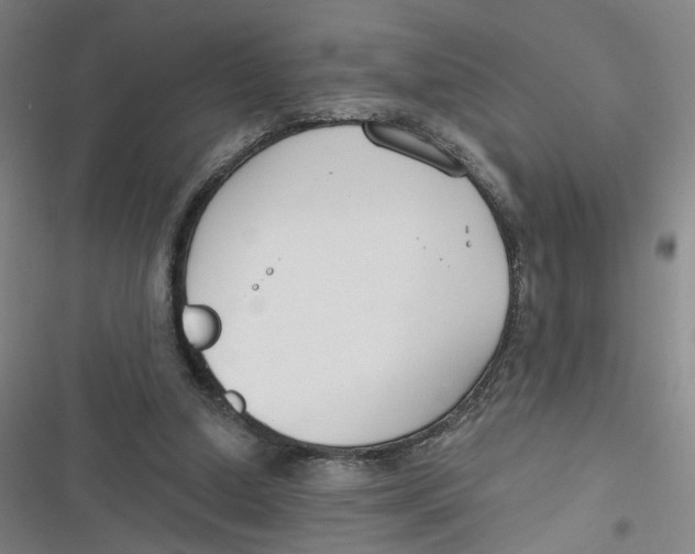 X0000116670250201001111317