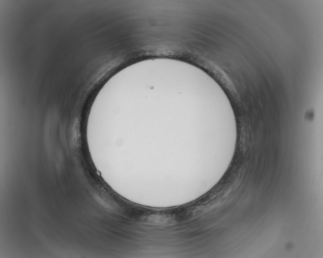 X0000116670251201001111317