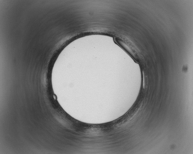 X0000116670252201001111317