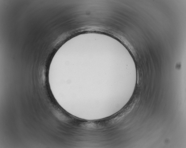 X0000116670253201001111317