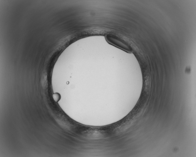 X0000116670254201001111317