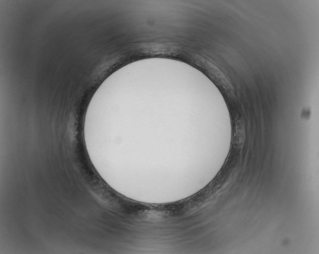 X0000116670255201001111317