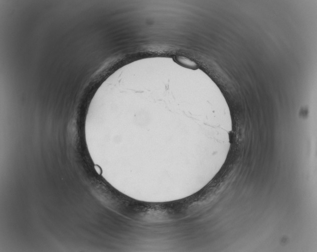 X0000116670256201001111317
