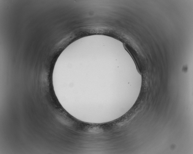 X0000116670258201001111317