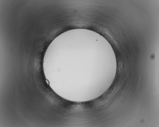 X0000116670259201001111317