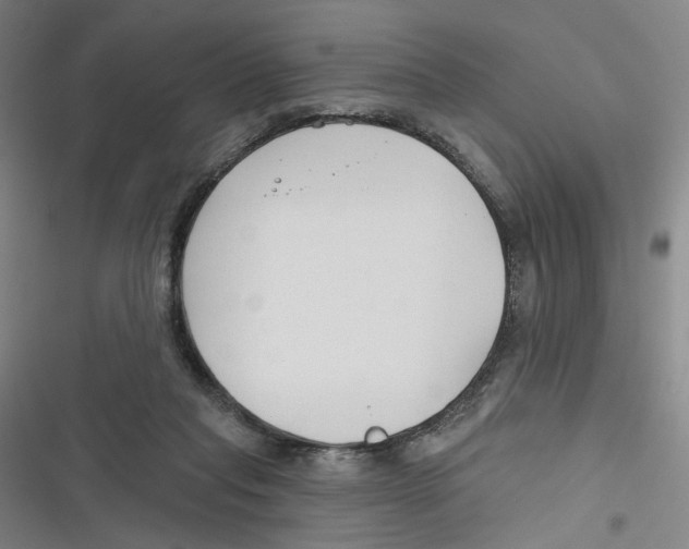 X0000116670261201001111317