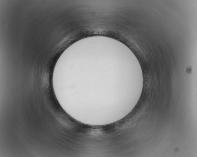 X0000116670262201001111317