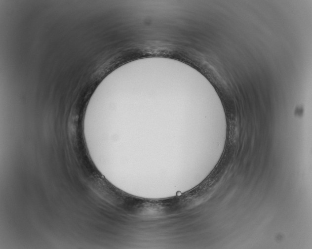 X0000116670263201001111317