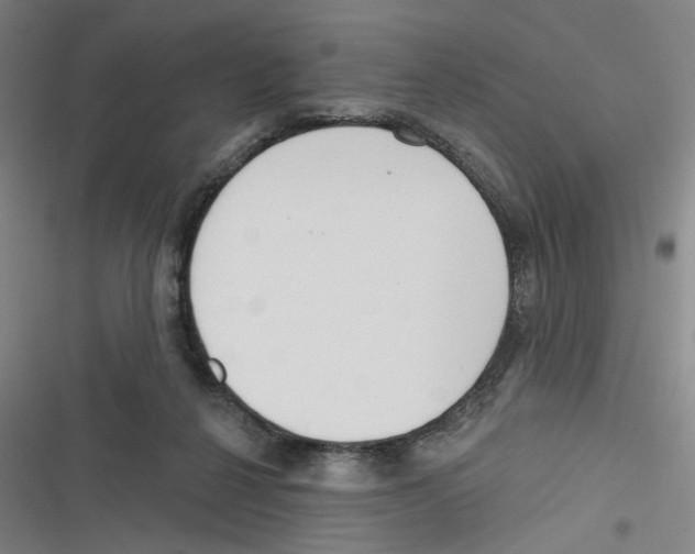 X0000116670264201001111317