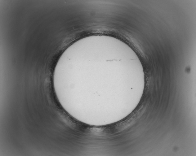 X0000116670265201001111317