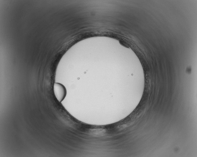 X0000116670266201001111317