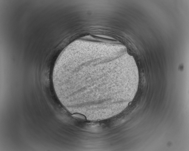 X0000116670267201001111317