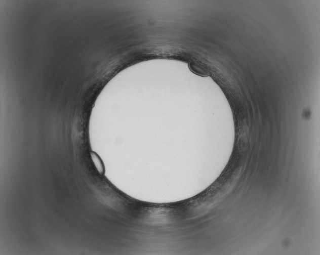 X0000116670268201001111317